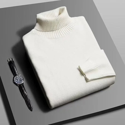 Veluxer Plain Cashmere Turtleneck Sweater